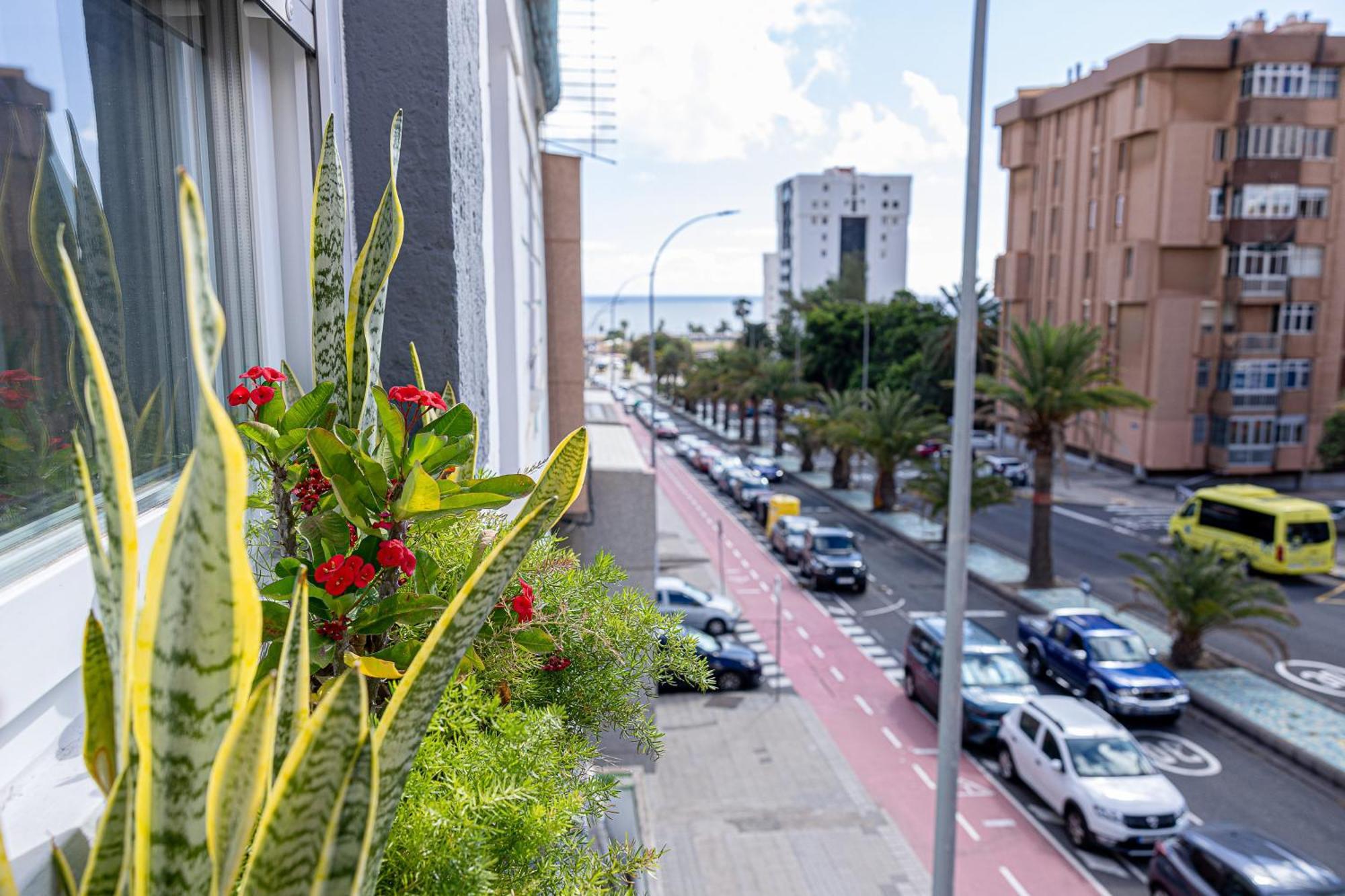Appartement Bambu Vegueta Alquiler Por